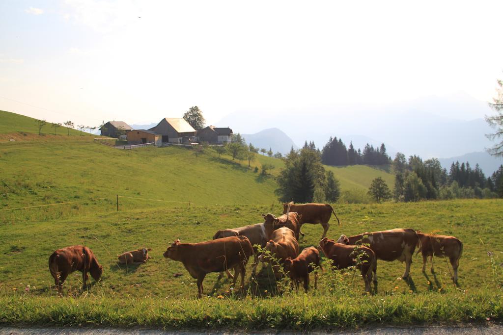 Вилла Bio-Bauernhof Kurzeck Гестлинг-на-Ибсе Экстерьер фото